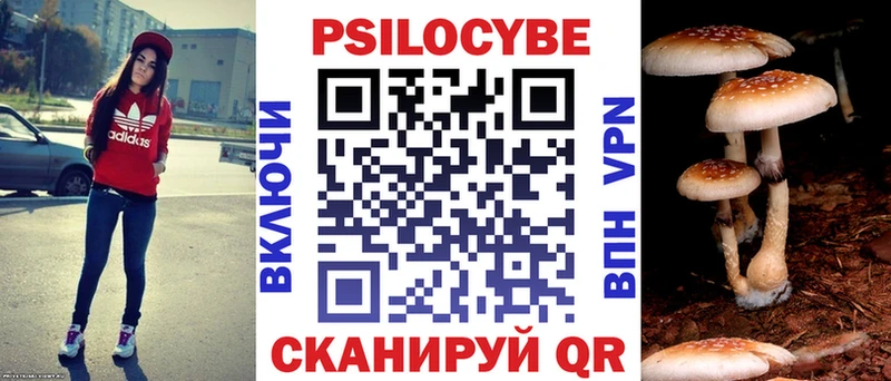 гидра   Нюрба  Галлюциногенные грибы прущие грибы 